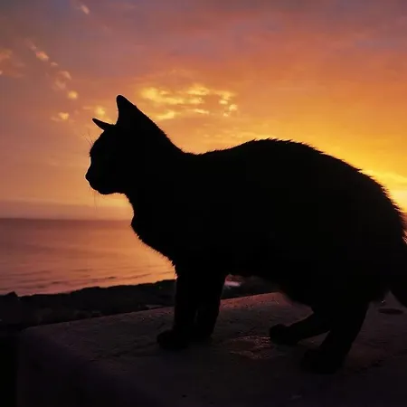 Βίλα Casa Laura Πουέρτο Ντελ Κάρμεν