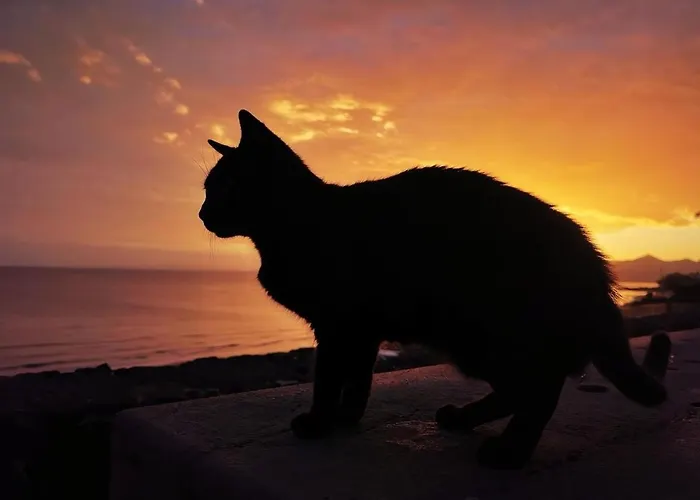 Villa Casa Laura Puerto del Carmen