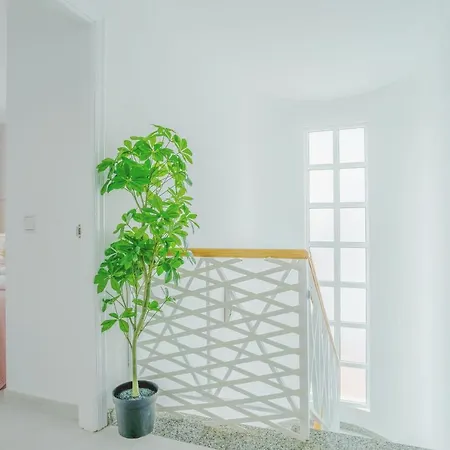 Casa Laura * פוארטו דל כרמן